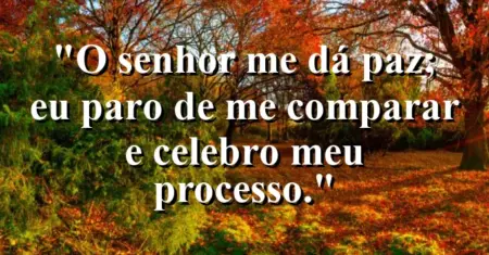 “O Senhor me dá paz; eu paro de me comparar e celebro meu processo.”