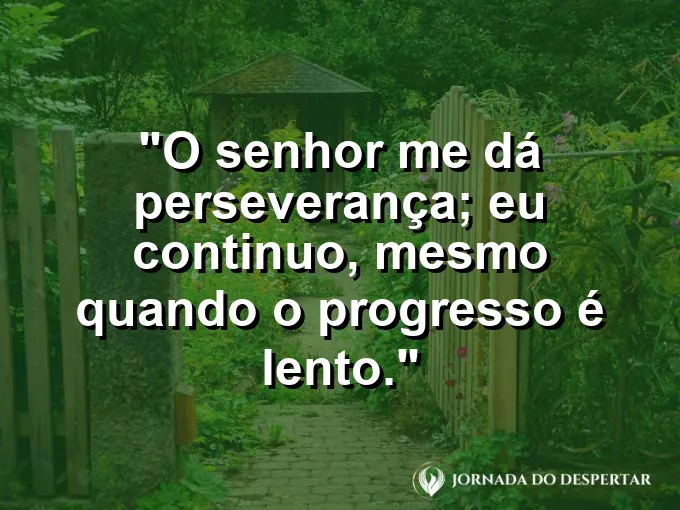 Imagem com a frase: O Senhor me dá perseverança; eu continuo, mesmo quando o progresso é lento.
