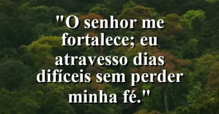“O Senhor me fortalece; eu atravesso dias difíceis sem perder minha fé.”