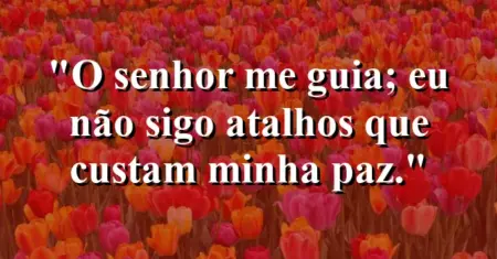 “O Senhor me guia; eu não sigo atalhos que custam minha paz.”
