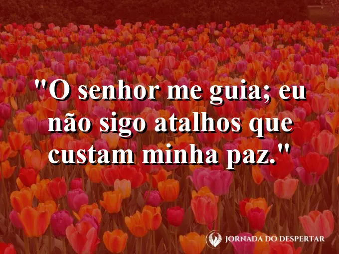 Imagem com a frase: O Senhor me guia; eu não sigo atalhos que custam minha paz.