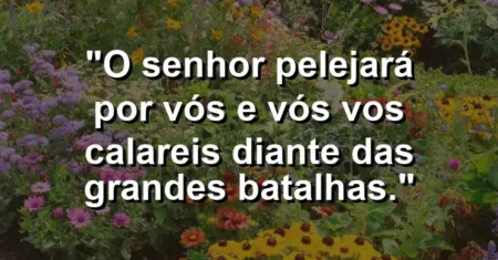 “O Senhor pelejará por vós e vós vos calareis diante das grandes batalhas.”