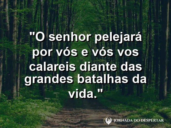 Espada cravada na rocha com frase bíblica sobre Deus lutando por Seus filhos fiéis.