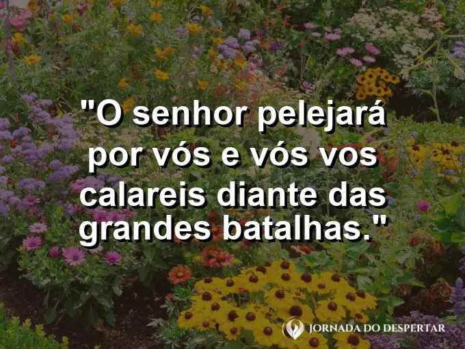 Espada cravada na rocha com frase sobre Deus lutando por Seus filhos amados hoje.