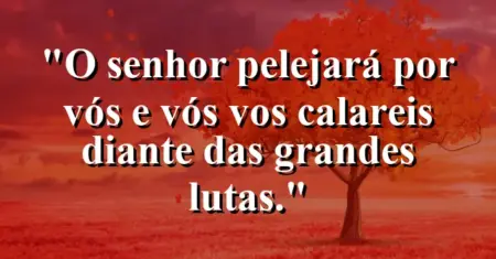 “O Senhor pelejará por vós e vós vos calareis diante das grandes lutas.”