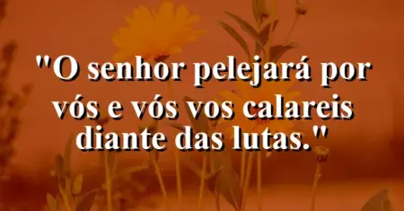 “O Senhor pelejará por vós e vós vos calareis diante das lutas.”