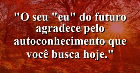 O seu “eu” do futuro agradece pelo autoconhecimento que você busca hoje.