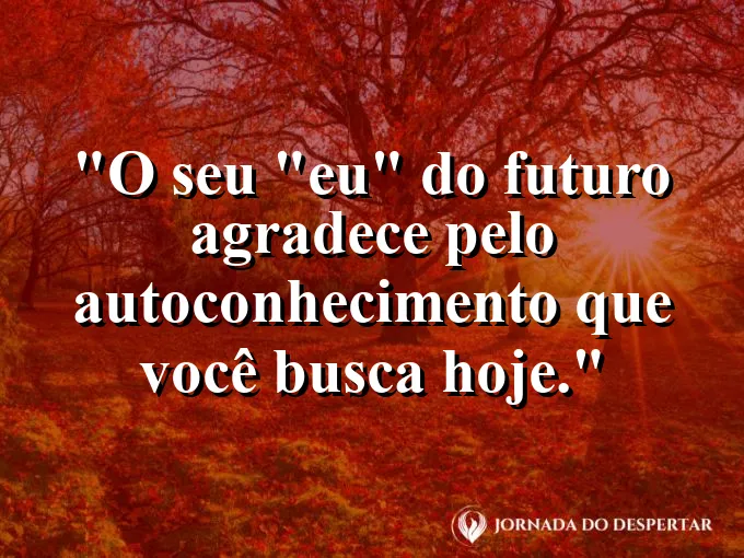 Uma semente de carvalho sendo plantada em solo fértil.