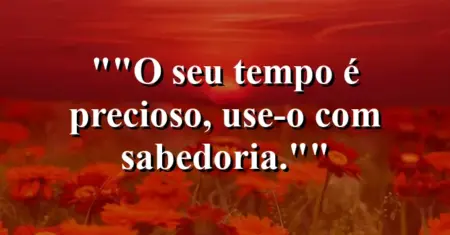 “O seu tempo é precioso, use-o com sabedoria.”