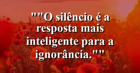 “O silêncio é a resposta mais inteligente para a ignorância.”