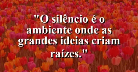 O silêncio é o ambiente onde as grandes ideias criam raízes.
