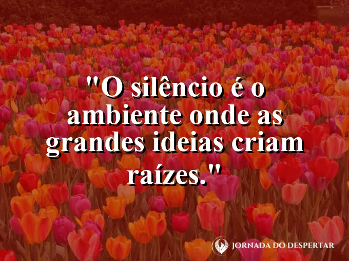 Uma floresta calma coberta por uma névoa matinal densa.