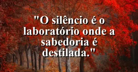 O silêncio é o laboratório onde a sabedoria é destilada.