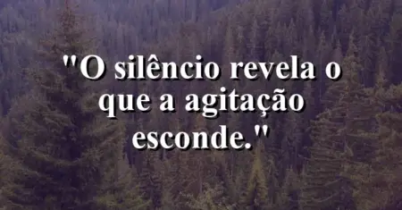O silêncio revela o que a agitação esconde.