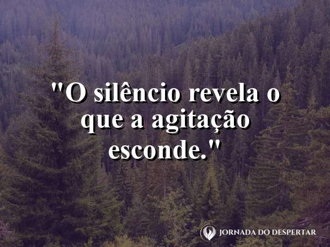 Paisagem montanhosa silenciosa com texto sobre reflexão.