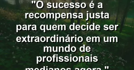 “O sucesso é a recompensa justa para quem decide ser extraordinário em um mundo de profissionais medianos agora.”