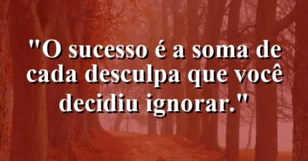 O sucesso é a soma de cada desculpa que você decidiu ignorar.