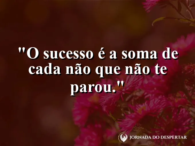 Planta brotando entre pedras pesadas em solo árido.
