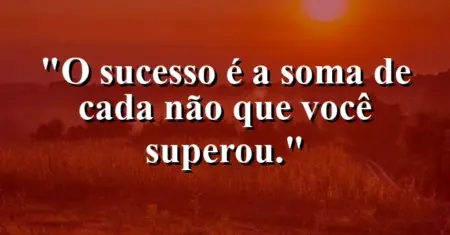 O sucesso é a soma de cada ‘não’ que você superou.