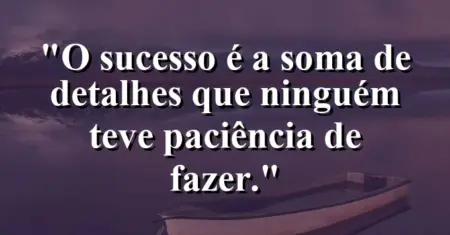O sucesso é a soma de detalhes que ninguém teve paciência de fazer.