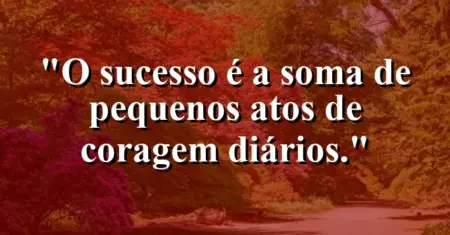 O sucesso é a soma de pequenos atos de coragem diários.