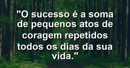 “O sucesso é a soma de pequenos atos de coragem repetidos todos os dias da sua vida.”