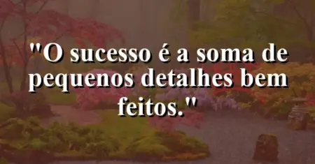 O sucesso é a soma de pequenos detalhes bem feitos.