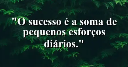 O sucesso é a soma de pequenos esforços diários.