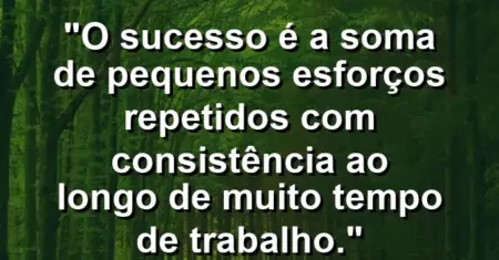 “O sucesso é a soma de pequenos esforços repetidos com consistência ao longo de muito tempo de trabalho.”