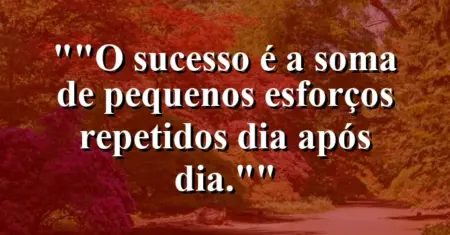“O sucesso é a soma de pequenos esforços repetidos dia após dia.”