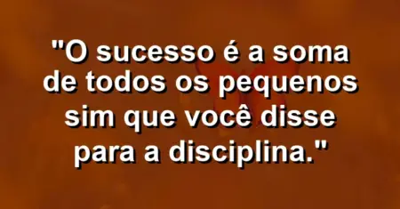 “O sucesso é a soma de todos os pequenos sim que você disse para a disciplina.”