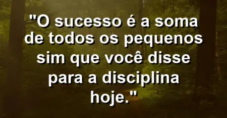 “O sucesso é a soma de todos os pequenos sim que você disse para a disciplina hoje.”