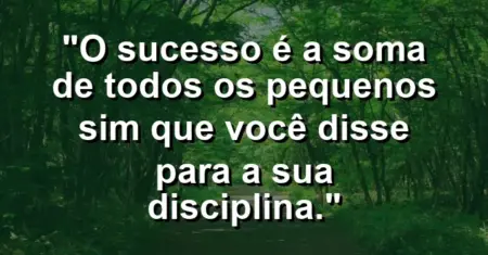 “O sucesso é a soma de todos os pequenos ‘sim’ que você disse para a sua disciplina.”