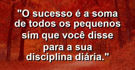 “O sucesso é a soma de todos os pequenos sim que você disse para a sua disciplina diária.”