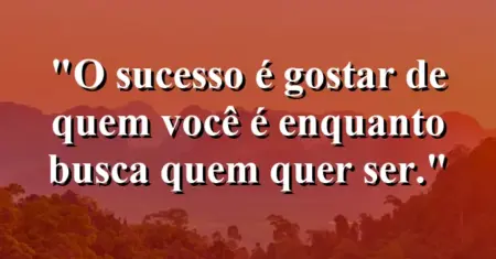 O sucesso é gostar de quem você é enquanto busca quem quer ser.