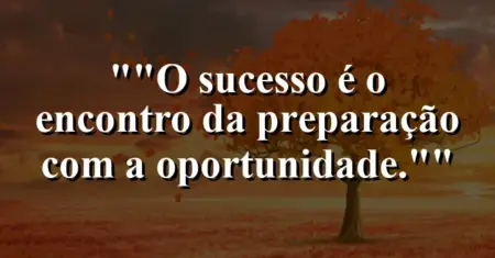 “O sucesso é o encontro da preparação com a oportunidade.”
