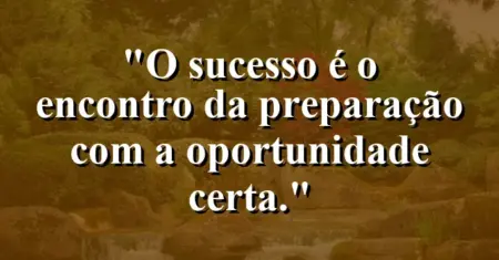 O sucesso é o encontro da preparação com a oportunidade certa.