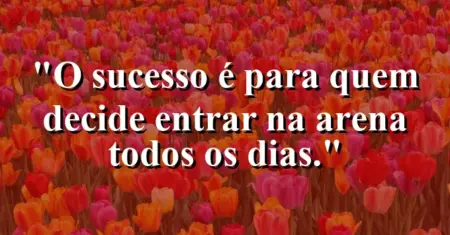 O sucesso é para quem decide entrar na arena todos os dias.