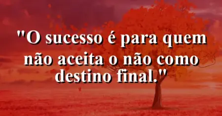 O sucesso é para quem não aceita o ‘não’ como destino final.