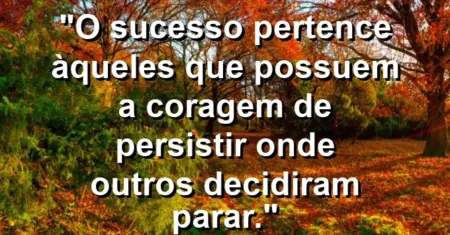 “O sucesso pertence àqueles que possuem a coragem de persistir onde outros decidiram parar.”
