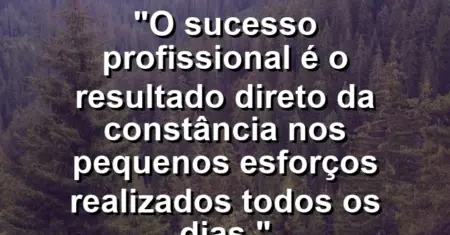 “O sucesso profissional é o resultado direto da constância nos pequenos esforços realizados todos os dias.”