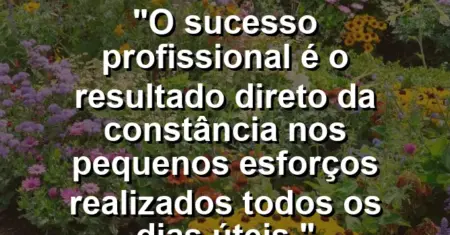 “O sucesso profissional é o resultado direto da constância nos pequenos esforços realizados todos os dias úteis.”