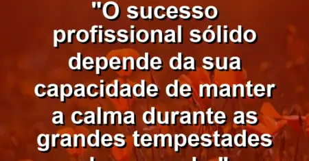 “O sucesso profissional sólido depende da sua capacidade de manter a calma durante as grandes tempestades do mercado.”