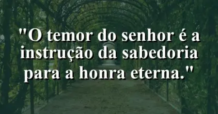 “O temor do Senhor é a instrução da sabedoria para a honra eterna.”