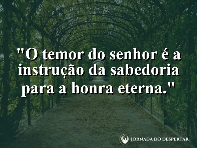 Coruja observando a lua com um livro ao lado e frase sobre sabedoria e honra divina.