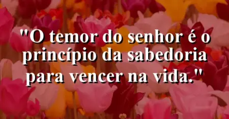 “O temor do Senhor é o princípio da sabedoria para vencer na vida.”