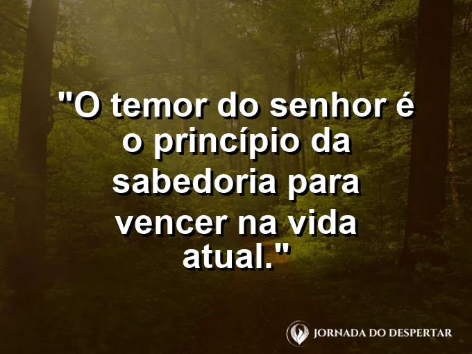 Coruja estilizada ou livro antigo com frase sobre sabedoria e temor a Deus.