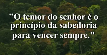“O temor do Senhor é o princípio da sabedoria para vencer sempre.”