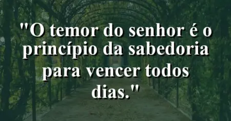 “O temor do Senhor é o princípio da sabedoria para vencer todos dias.”