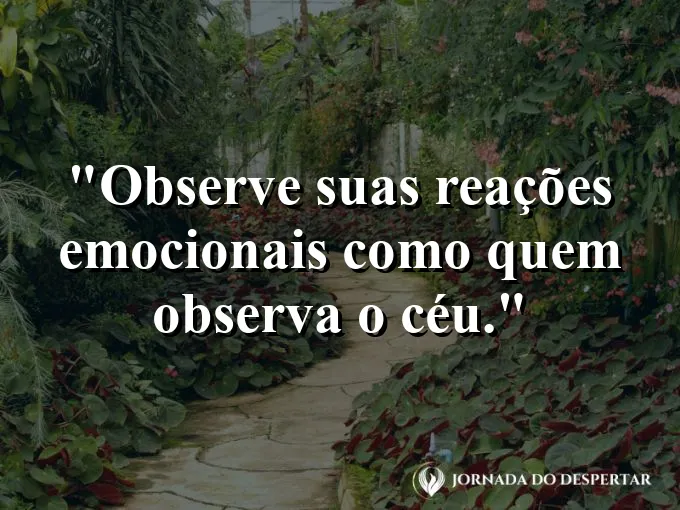 Frase sobre mindfulness: Observe suas reações emocionais como quem observa o céu.
